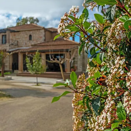 Casa Soleada Holiday home Gaitani